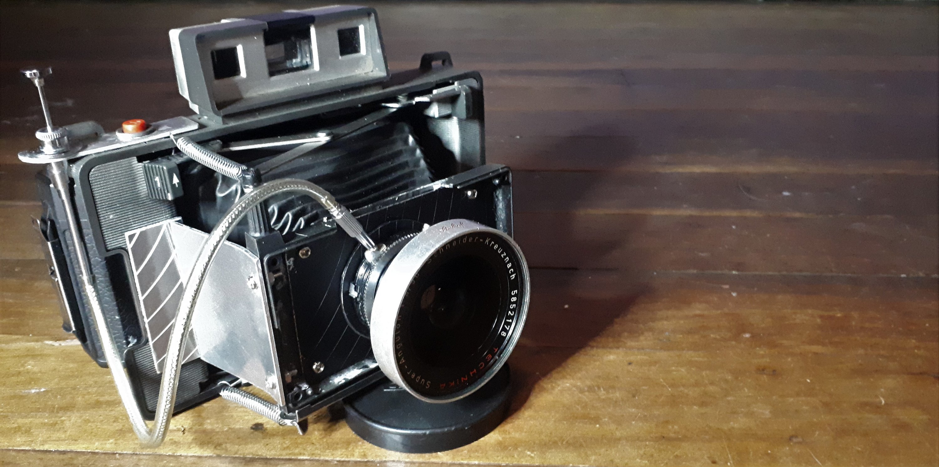 holgaroid 2.jpg