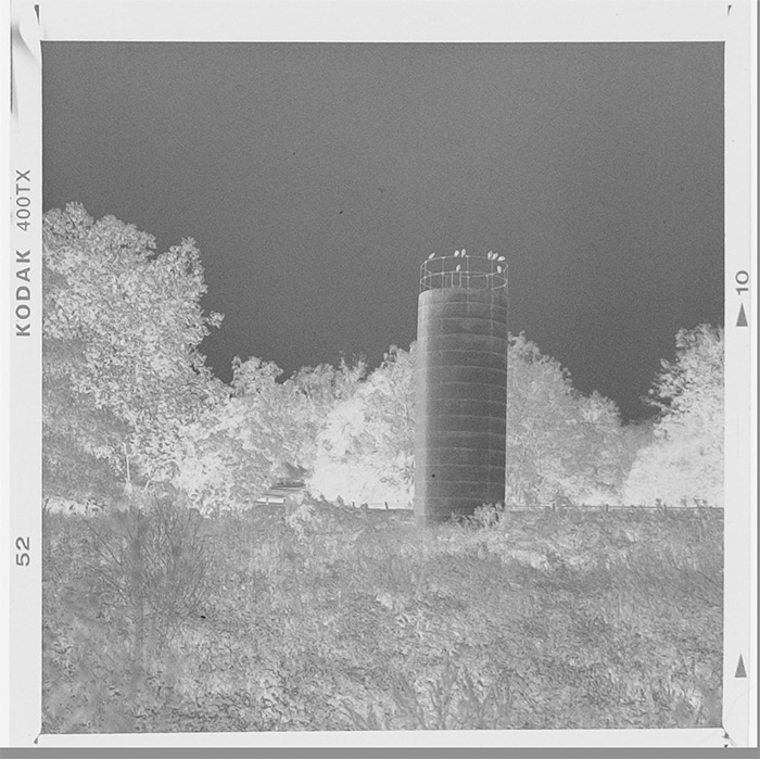 silo+buzzards-negative.jpg