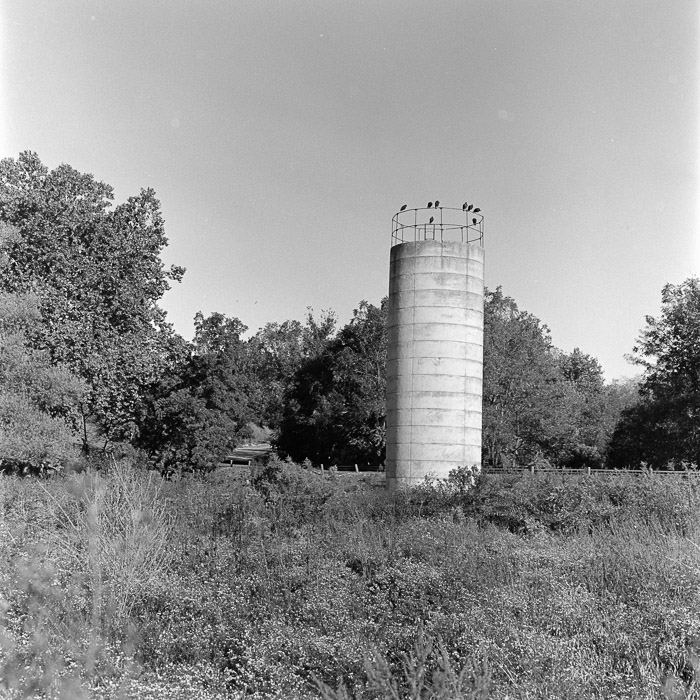 silo+buzzards-t5892-93.jpg