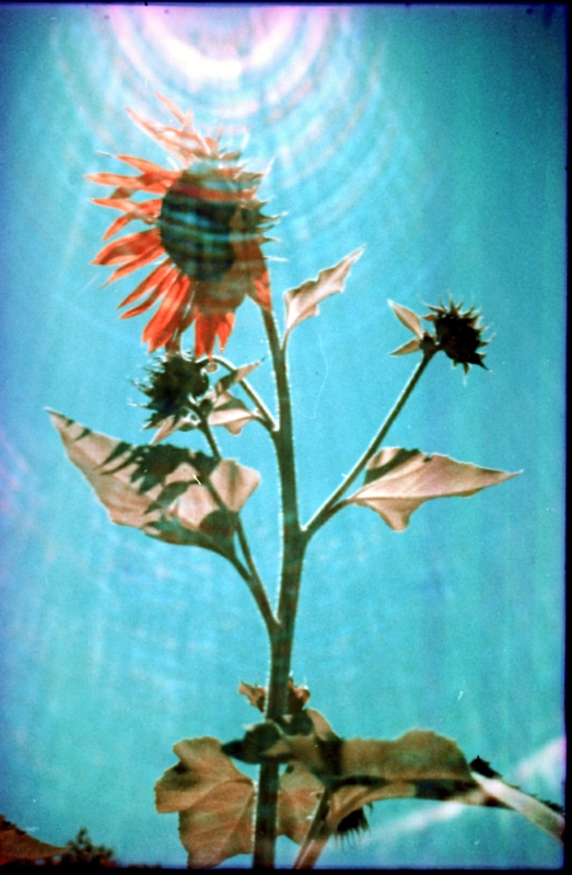sunflares.jpg