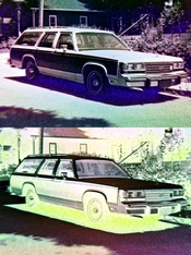 carcropj5_clr_pairs.jpg