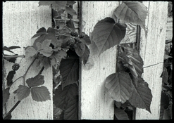 r16_xx_xtol1+1_11_2_s.jpg