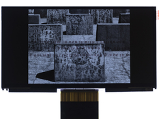 lcdcapture.jpg