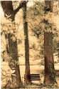 Bench and Trees in Lith
